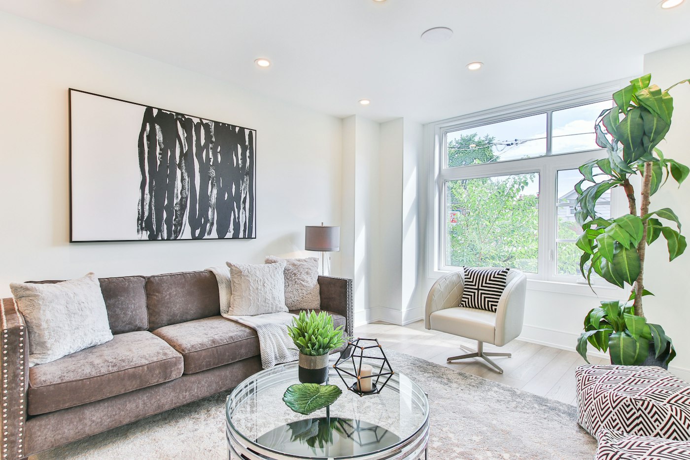 Brown velvet sofa, glass coffee table, tall fig plant, and a black-and-white picture.
